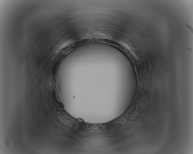 X0000091981063200709061148