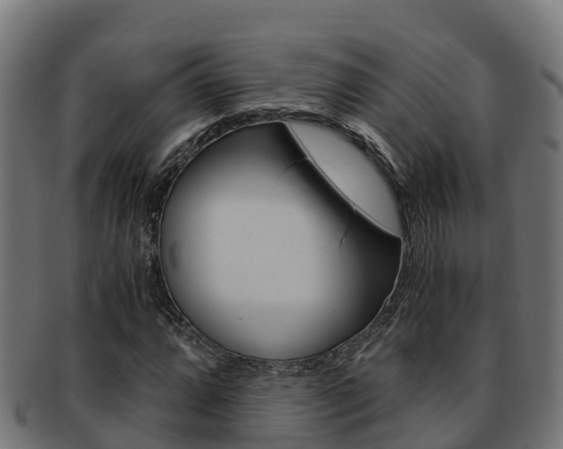 X0000091981064200709061148