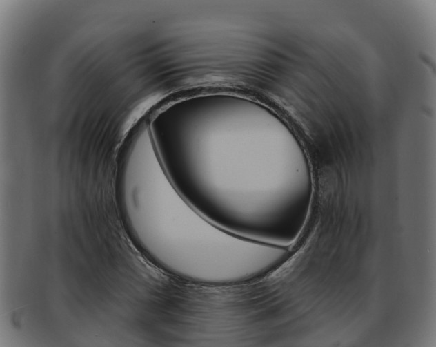 X0000091981066200709061148