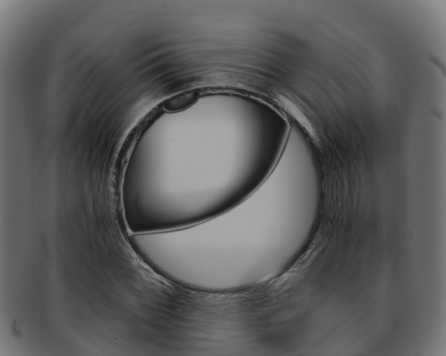 X0000091981068200709061148