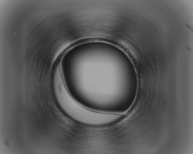 X0000091981069200709061148