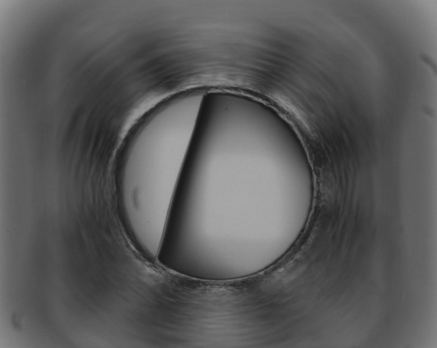 X0000091981070200709061148