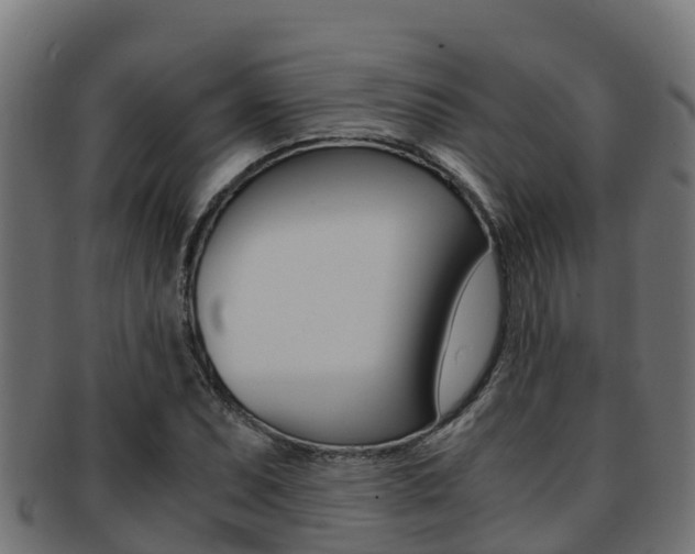 X0000091981071200709061148