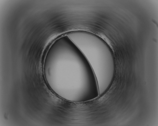 X0000091981072200709061148