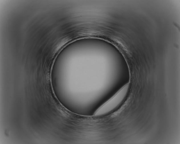 X0000091981073200709061148
