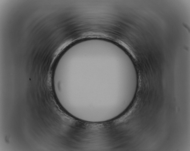 X0000091981074200709061148