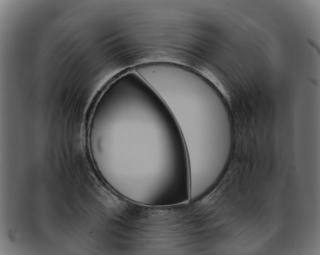 X0000091981076200709061148
