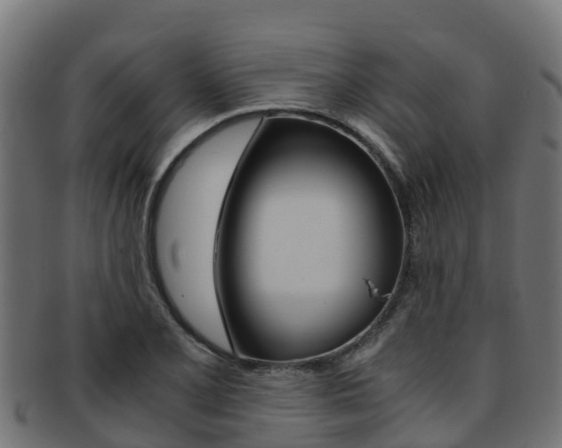 X0000091981077200709061148
