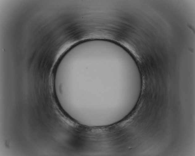 X0000091981078200709061148