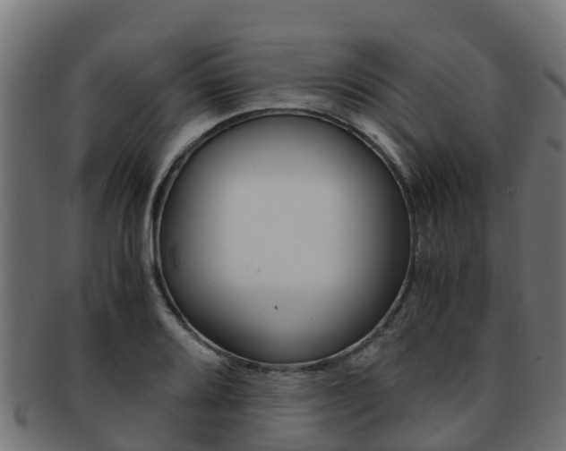 X0000091981080200709061148