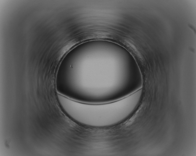 X0000091981081200709061148