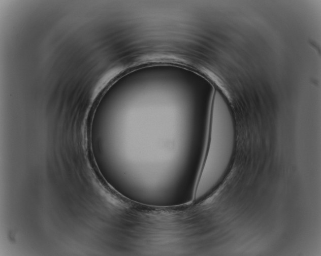 X0000091981082200709061148