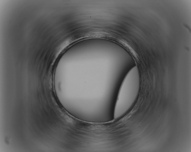 X0000091981083200709061148