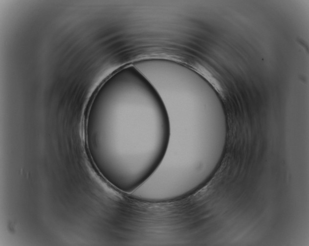 X0000091981084200709061148