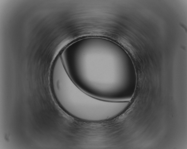 X0000091981085200709061148
