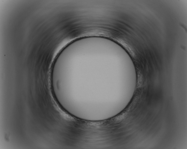 X0000091981086200709061148