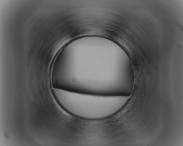 X0000091981087200709061148