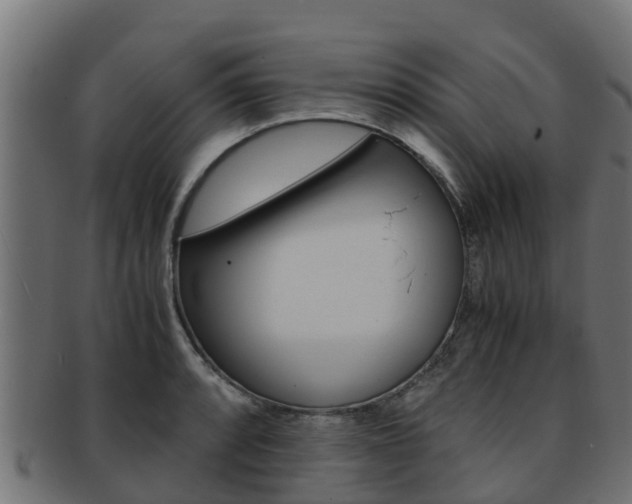 X0000091981088200709061148