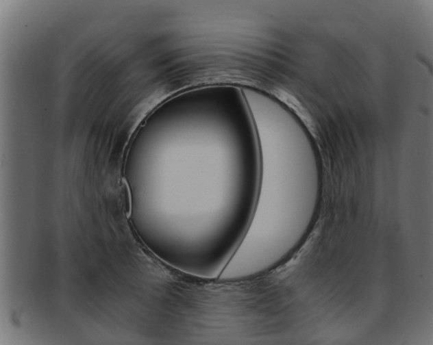 X0000091981089200709061148
