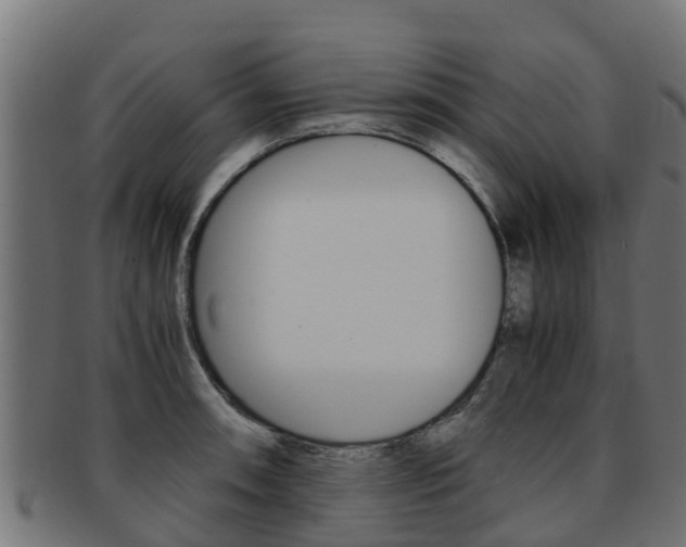 X0000091981090200709061148