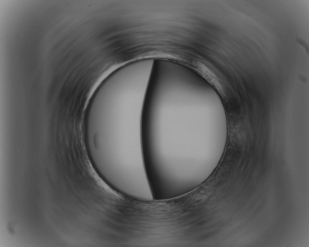 X0000091981092200709061147