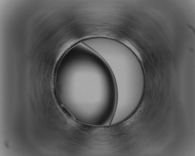 X0000091981093200709061147