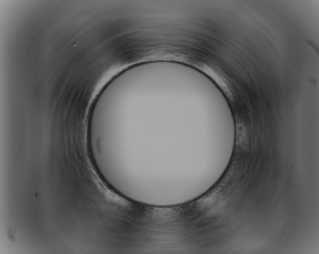 X0000091981094200709061147