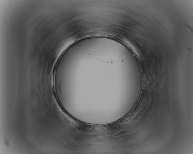 X0000091981095200709061147