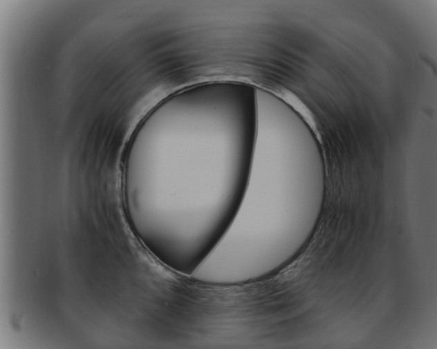 X0000091981096200709061147