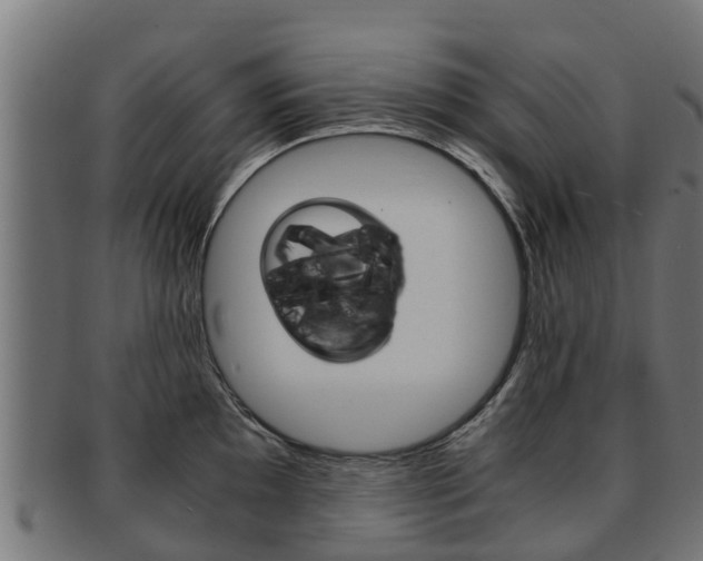 X0000091981097200709061147