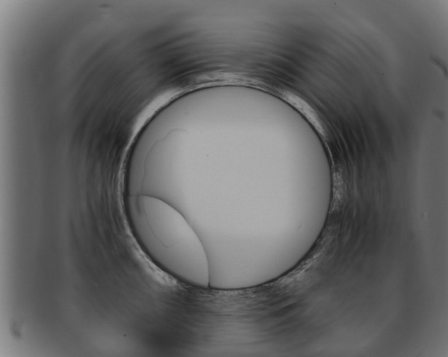 X0000091981098200709061147