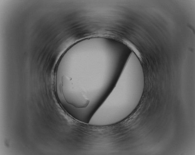 X0000091981099200709061147