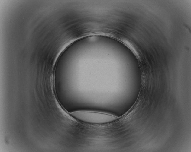 X0000091981100200709061147