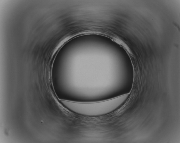 X0000091981101200709061147