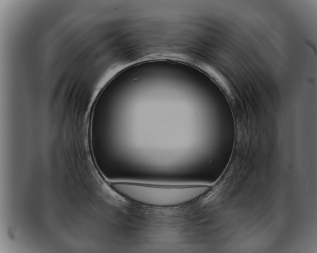X0000091981102200709061147