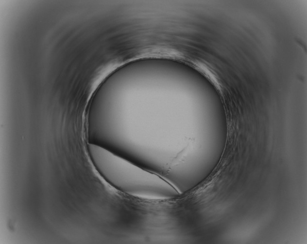 X0000091981103200709061147