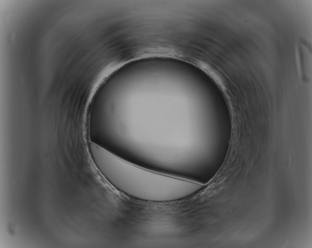 X0000091981104200709061147