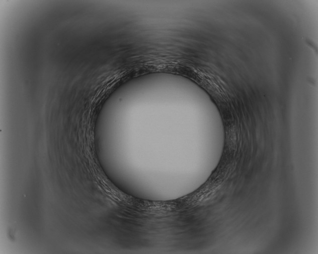 X0000091981105200709061147
