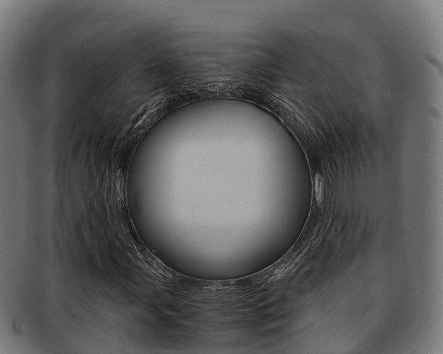 X0000091981107200709061147