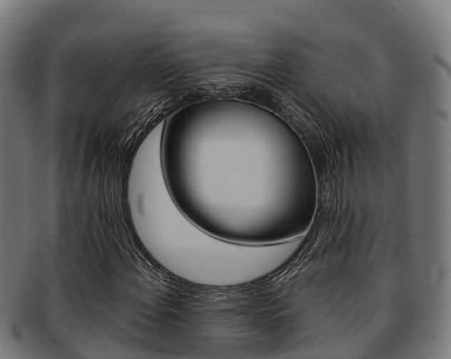 X0000091981108200709061147