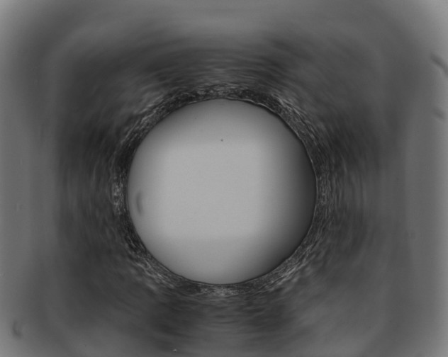 X0000091981109200709061147