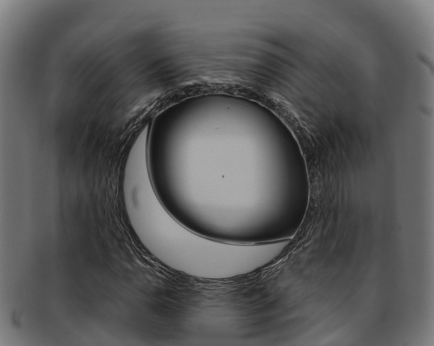X0000091981110200709061147