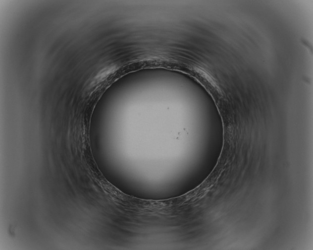 X0000091981111200709061147