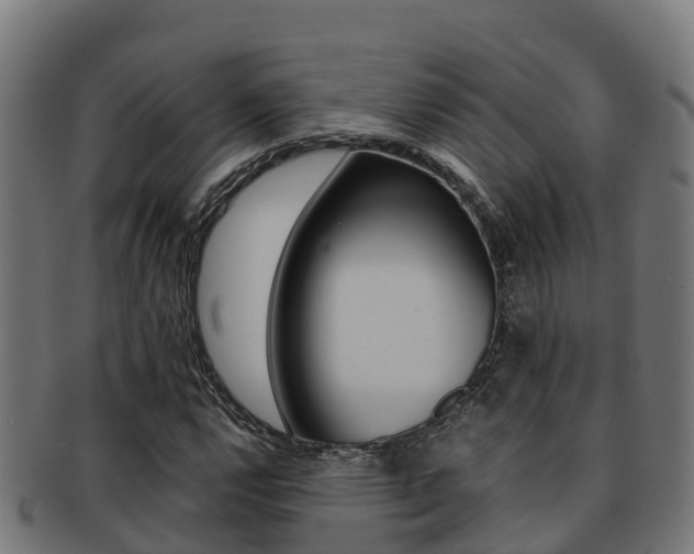 X0000091981112200709061147