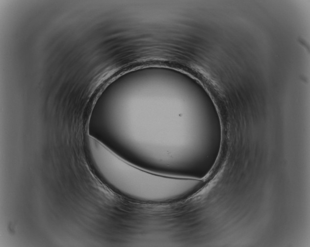 X0000091981113200709061147