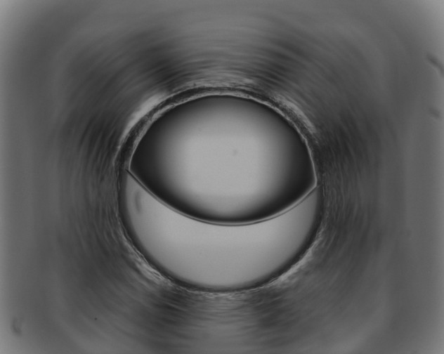 X0000091981114200709061147