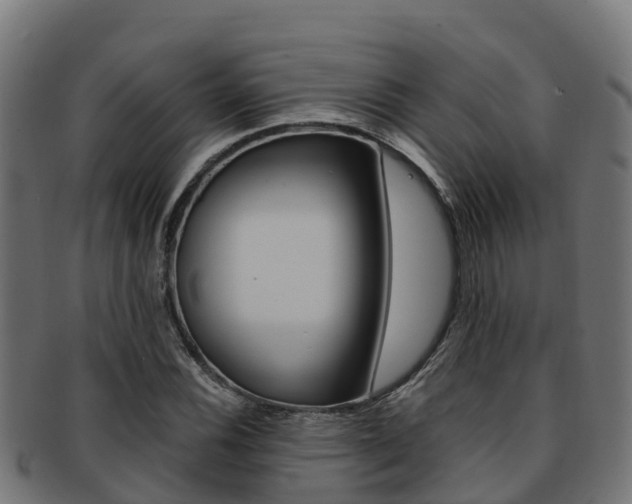 X0000091981116200709061147