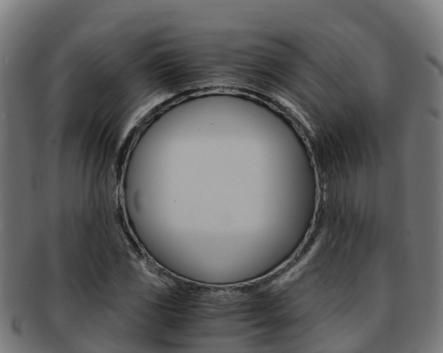 X0000091981117200709061147