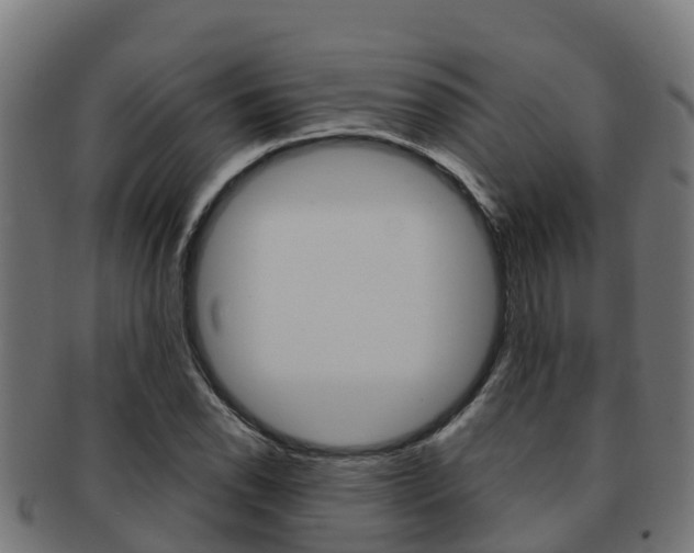 X0000091981118200709061147