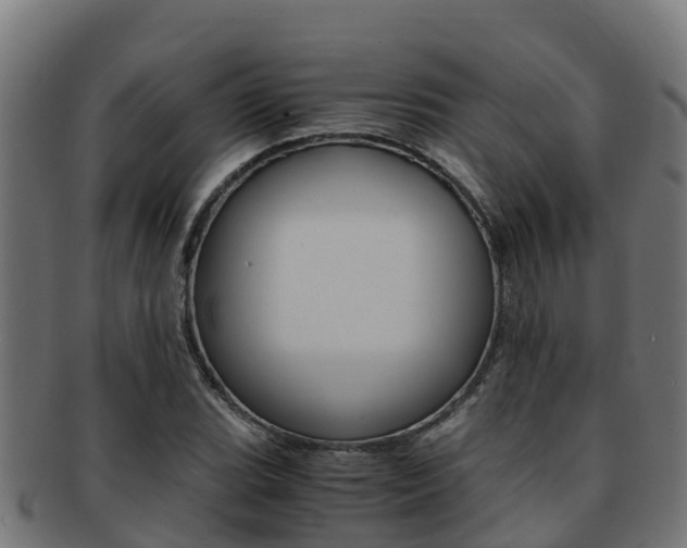 X0000091981119200709061147